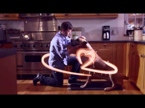 Видео о препарате Ветмедин капсулы 5мг №100 (100 капсул)